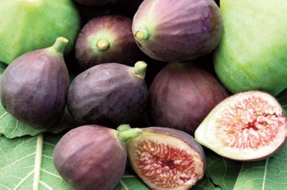 Fresh figs in various stages of ripeness with one fig cut open to show the inside.