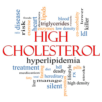 A Cardiovascular Nutritionist’s retort to Jonny Bowden and “The Great Cholesterol Myth”