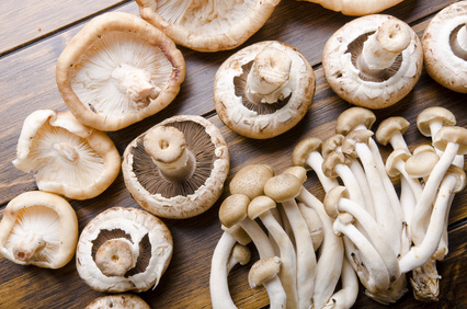 low cholesterol food- mushrooms