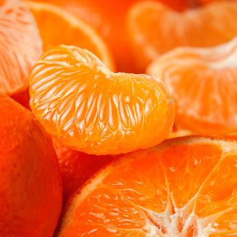 Sliced oranges and tangerines close-up.