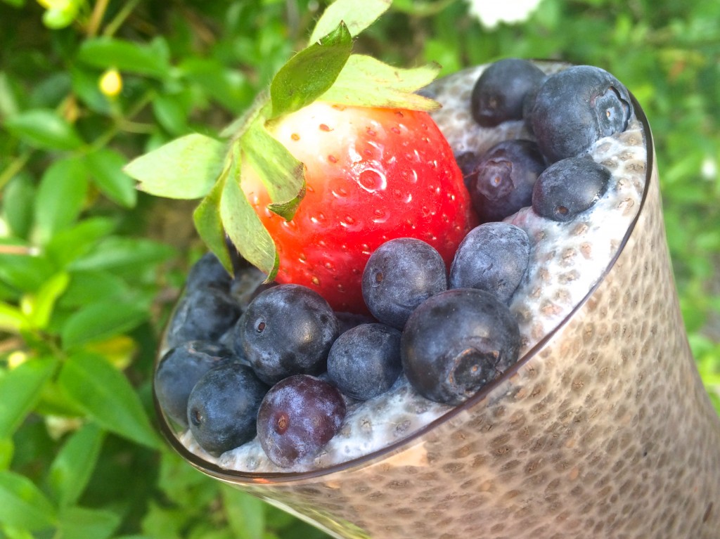 Zero Cholesterol Recipe of Vanilla Chia Pudding