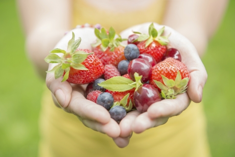 Fresh berries held in open hands.