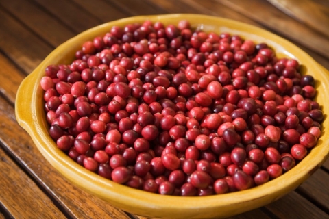 Superfood of the Season – Cranberries